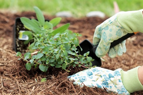 Community gardener planting near raised beds in Whitechapel