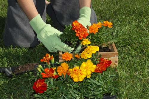 Volunteers working together on a gardening project in Whitechapel