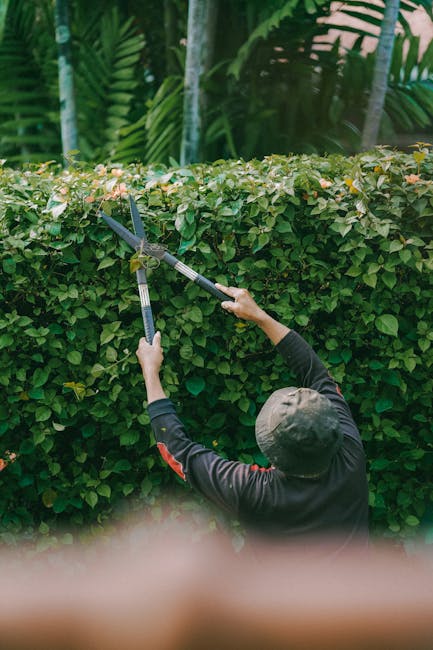 A gardener working outdoors in a well-maintained garden with lush green grass, neatly trimmed hedges, and blooming flower beds. The scene shows a paved pathway leading through the garden, bordered by