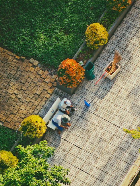A narrow residential street lined with a mix of brick and white-painted terraced houses, each with small front gardens or potted plants placed along the pavement. The gardens feature neatly trimmed bu